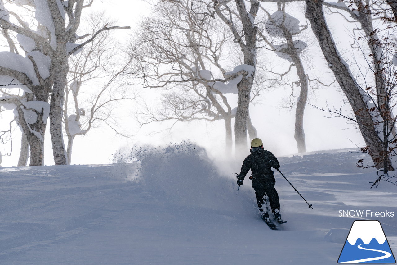 ニセコ東急グラン・ヒラフ｜積雪400cm！ニセコの『PowderSnow』を味わい尽くす、贅沢な時間♪